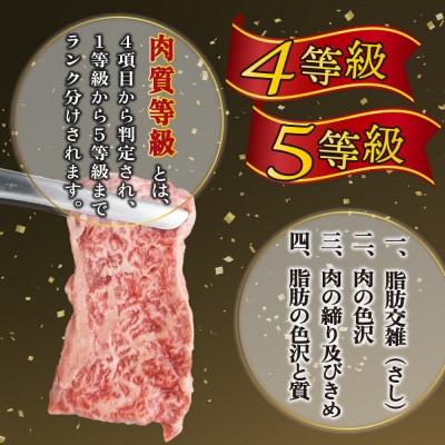 宮崎県産 宮崎牛バラ焼肉用 250g×4パック 合計1kg(串間市)