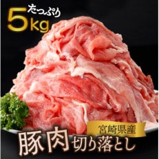 【2024年1月より順次発送】宮崎県産 豚肉切り落とし 250g&times;20パック 合計5kg(串間市)