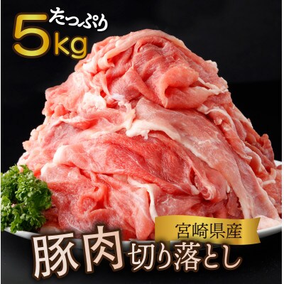 【2024年2月より順次発送】宮崎県産 豚肉切り落とし 250g×20パック 合計5kg(串間市)