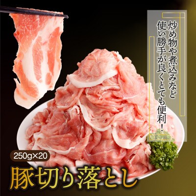 【2024年2月より順次発送】宮崎県産 豚肉切り落とし 250g×20パック 合計5kg(串間市)