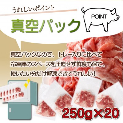 【2024年2月より順次発送】宮崎県産 豚肉切り落とし 250g×20パック 合計5kg(串間市)