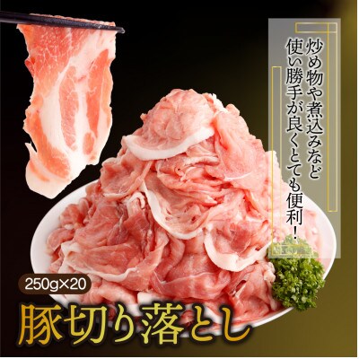 【2024年4月より順次発送】宮崎県産 豚肉切り落とし 250g×20パック 合計5kg(串間市)