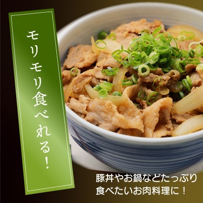 【2024年6月より順次発送】宮崎県産 豚肉切り落とし 250g×20パック 合計5kg(串間市)