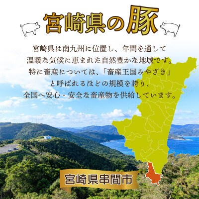 【2024年9月より順次発送】宮崎県産 豚肉切り落とし 250g×20パック 合計5kg(串間市)