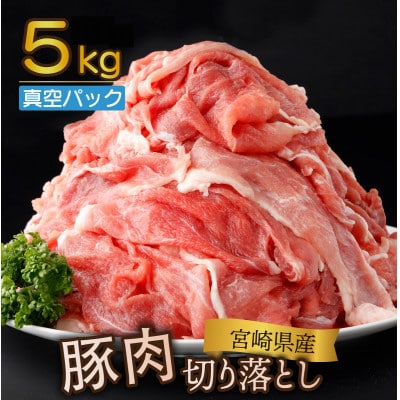【2024年10月より順次発送】宮崎県産 豚肉切り落とし 250g×20パック 合計5kg(串間市)