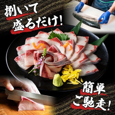 活じめ!黒瀬ブリの生鮮ぶりフィレー(約1.5kg)【KRBF15】