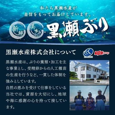 活じめ!黒瀬ぶりカマ(5枚入)(800g～1.2kg前後)