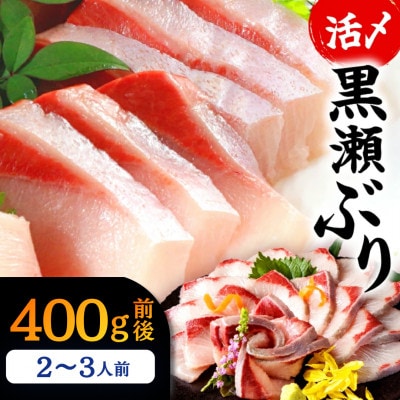 活じめ!黒瀬ぶりの生鮮ブリロイン 2節～3節 (400g前後)