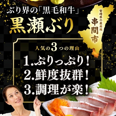 活じめ!黒瀬ぶりの生鮮ブリロイン 2節～3節 (400g前後)