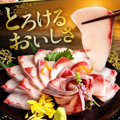活じめ!黒瀬ぶりの生鮮ブリロイン 2節(1kg前後)