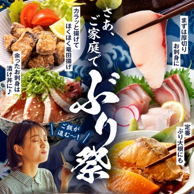 活じめ!黒瀬ぶりの生鮮ブリロイン 2節(1kg前後)