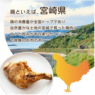若鶏4kgビッグセット(串間市)