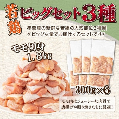 若鶏4kgビッグセット(串間市)
