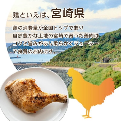 ≪小分け・カット済み≫鶏肉ムネ切身3.3kgセット(約300g×11パック)(串間市)