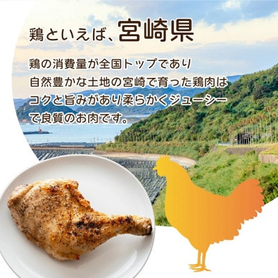宮崎県産　若鶏筋なしささみ2.5kgセット(串間市)