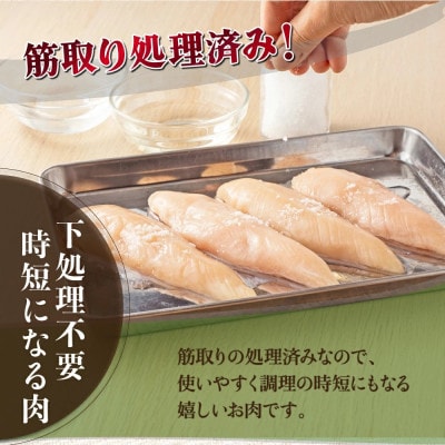 宮崎県産　若鶏筋なしささみ2.5kgセット(串間市)