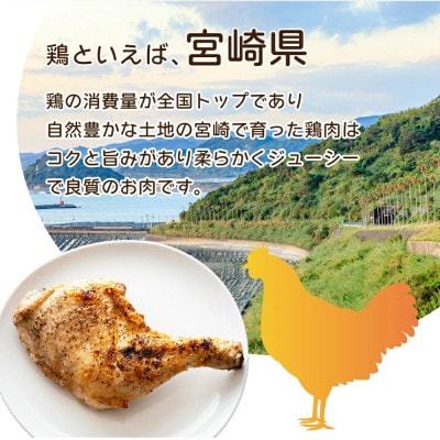 宮崎県産 鶏肉骨付モモ10本セット(約2.6kg)(串間市)