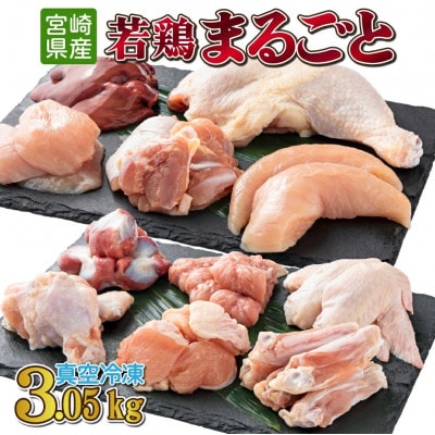 宮崎県産 若鶏まるごと3.05kgセット(串間市)