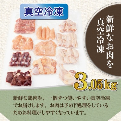 宮崎県産 若鶏まるごと3.05kgセット(串間市)