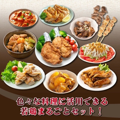 宮崎県産 若鶏まるごと3.05kgセット(串間市)
