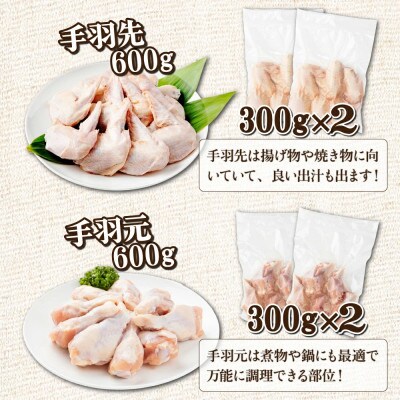 宮崎県産　若鶏よりどり3.6kgセット(串間市)