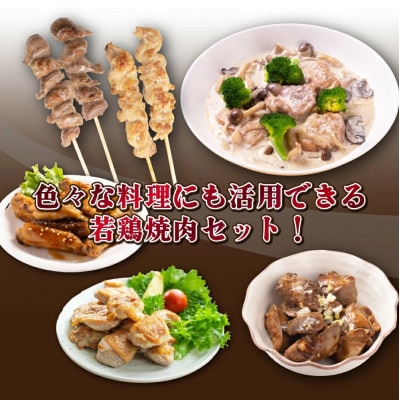 宮崎県産　若鶏焼肉4.1kgセット(串間市)