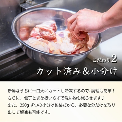 【小分け&個別凍結でバラバラ】宮崎県産鶏ももカット1.5kg(串間市)