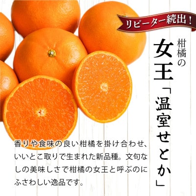【先行予約】農林水産大臣賞受賞農園!(訳あり)ふるやさんちの温室せとか 約5kg(20～24玉)