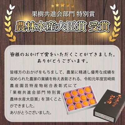 【先行予約】農林水産大臣賞受賞農園!(訳あり)ふるやさんちの温室せとか 約5kg(20～24玉)