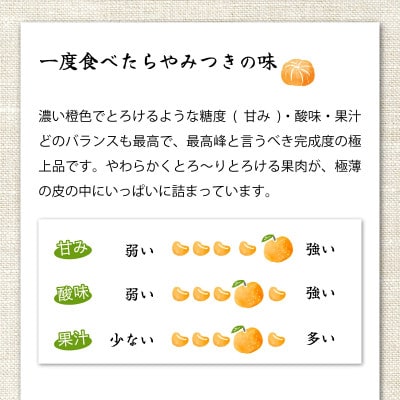 【先行予約】農林水産大臣賞受賞農園!(訳あり)ふるやさんちの温室せとか 約5kg(20～24玉)