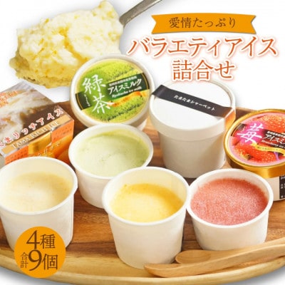 愛情たっぷりバラエティアイス詰合せ(4種)合計9個