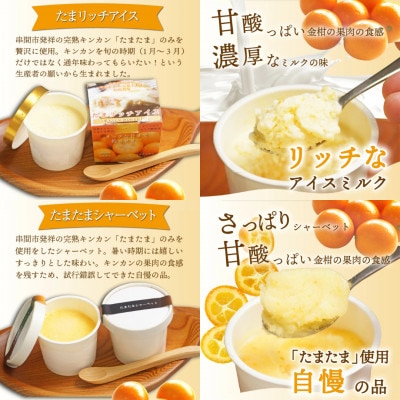 愛情たっぷりバラエティアイス詰合せ(4種)合計9個