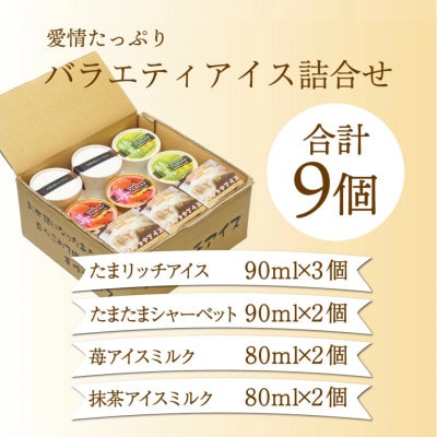愛情たっぷりバラエティアイス詰合せ(4種)合計9個