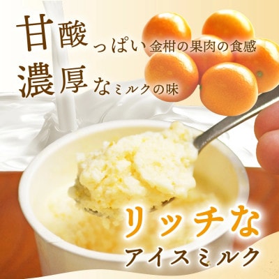 串間市産 きんかんたまたま 使用!たまリッチアイス詰合せ(9個)