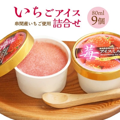 串間市産 イチゴ使用!いちごアイス詰合せ(9個)