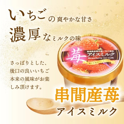 串間市産 イチゴ使用!いちごアイス詰合せ(9個)