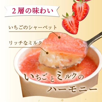 串間市産 イチゴ使用!いちごアイス詰合せ(9個)