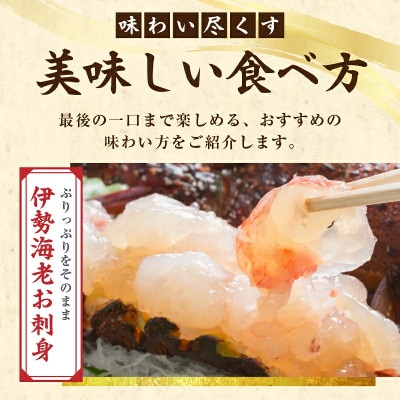 宮崎県串間産 伊勢エビ(計約600g・1～3匹)