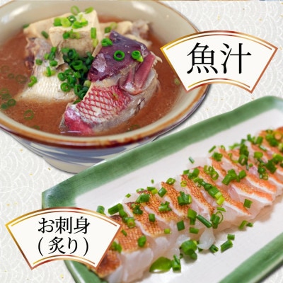 【先行予約】宮崎県串間産 アカハタ 計約750g(2～3匹)