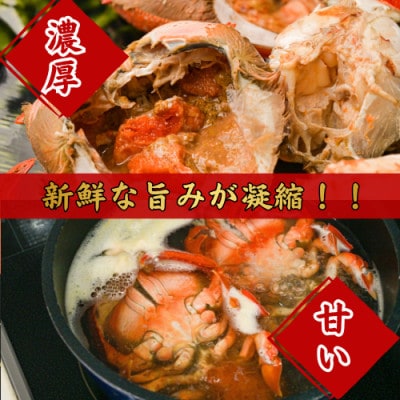 【先行予約】宮崎県串間産 アサヒガニ 約500g(1～2杯)
