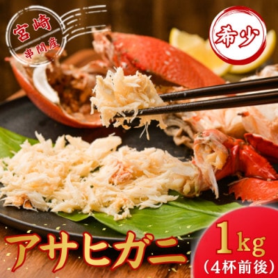 【先行予約】宮崎県串間産 アサヒガニ 約1kg(4杯前後)