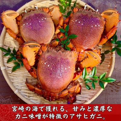 【先行予約】宮崎県串間産 アサヒガニ 約2kg(8杯前後)