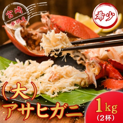 【先行予約】宮崎県串間産(大)アサヒガニ 約1kg(2杯)