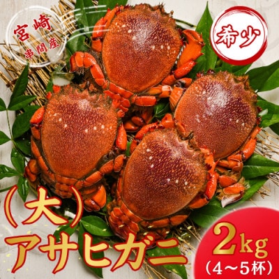 【先行予約】宮崎県串間産(大)アサヒガニ 約2kg(4～5杯)