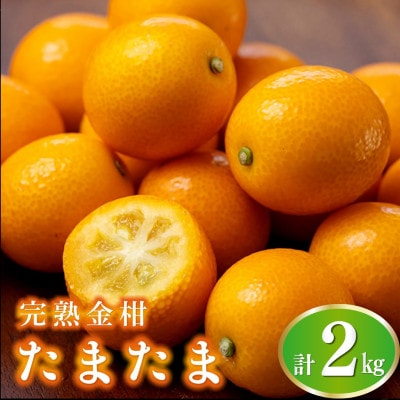 【先行予約】串間市産 完熟きんかん「たまたま」2kg (1kg×2箱) (串間市)