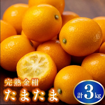 【先行予約】串間市産 完熟きんかん「たまたま」3kg (3kg×1箱) (串間市)