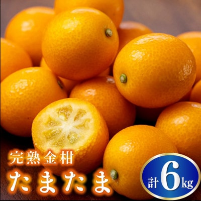 【先行予約】串間市産 完熟きんかん「たまたま」6kg (3kg×2箱) (串間市)