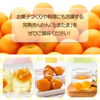 【先行予約】串間市産 完熟きんかん「たまたま」6kg (3kg×2箱) (串間市)