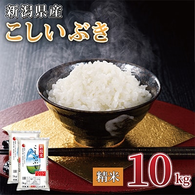 【令和7年産】新潟県産 こしいぶき 10kg(精米)