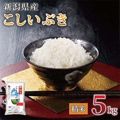 【令和7年産】新潟県産 こしいぶき 5kg(精米)